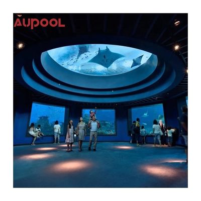 Gecast Acrylic Panel Style 8M Long In-Ground Pool Groot Draagbaar eindeloos zwembad