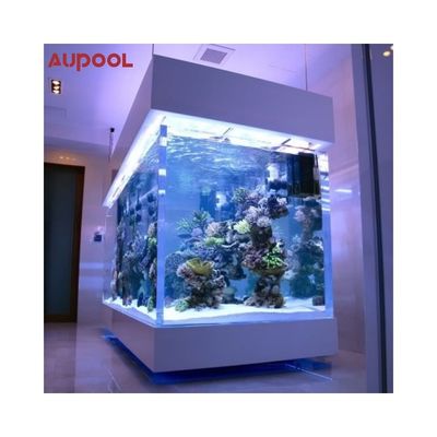 Gezinszwembad Lang 8 Meter Buiten Massage Spa met eindeloos Acrylglas zwembad