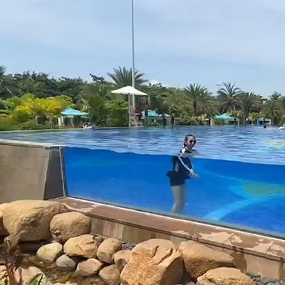 Op maat gemaakt Acrylpaneel Dikte Koffie Kleur Glasvezel Achtertuin Sky Lap Pool Design