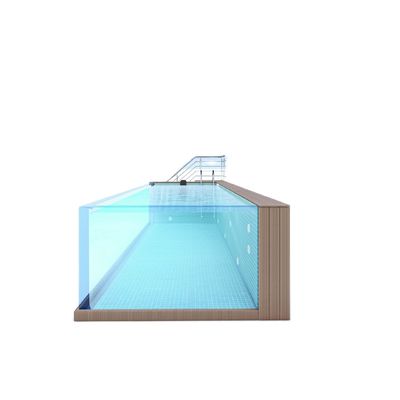 Familiesport bovengrond zwembad met acrylpaneel venster en roestvrij staal constructie