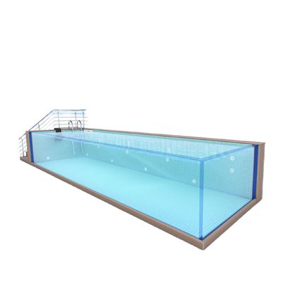 Familiesport bovengrond zwembad met acrylpaneel venster en roestvrij staal constructie