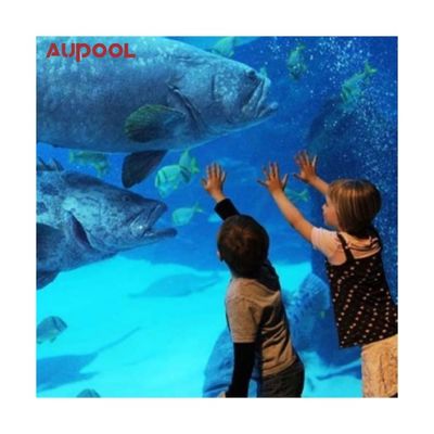 Modeontwerp zwembad Pvc volwassen kinderen Duurzaam opblaasbaar acryl frame zwembad