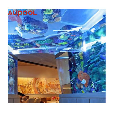 Duurzaam wandgehangen buisloze zwembad Acryl glasvezelfilter voor gemakkelijke installatie