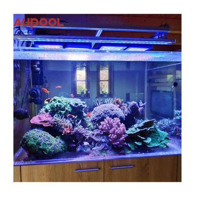 Doorzichtige acrylwand voor zwembad aquarium aangepast 100 mm dikte tuin landschap