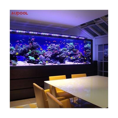 Buitenzwembad en duikbad met 100% zuiver lucite acryl van Sublue Dive Pools